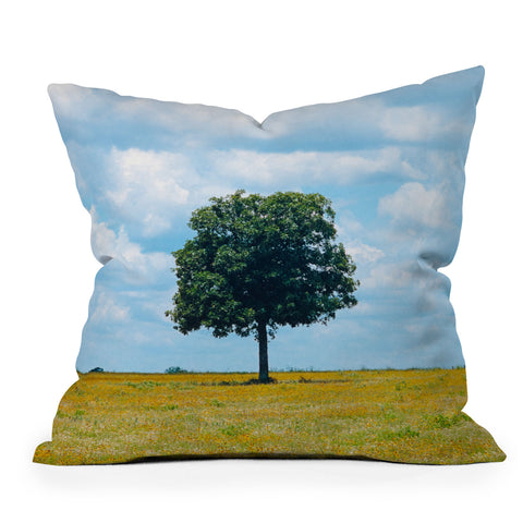 J. Freemond Visuals Lone Ranger Outdoor Throw Pillow