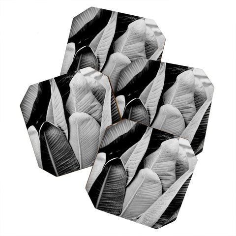 J. Freemond Visuals Texturas Tres Coaster Set