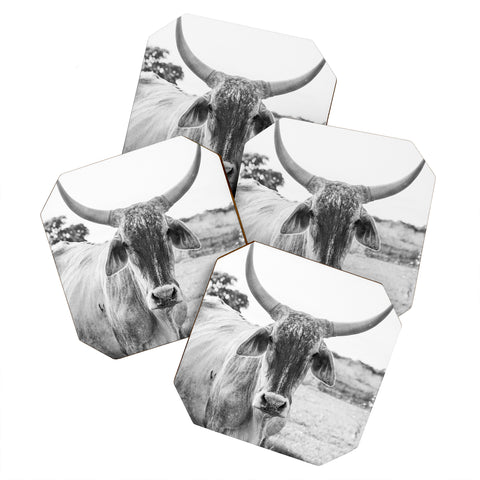 J. Freemond Visuals The Boss Coaster Set