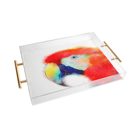 Jacqueline Maldonado The Articulate Acrylic Tray