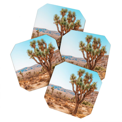 Jeff Mindell Photography Joshua Tree IV Coaster Set