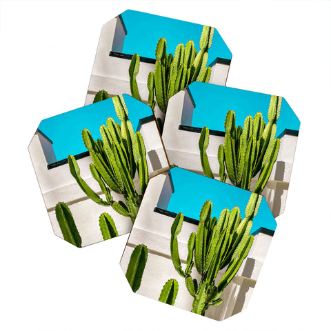 Jeff Mindell Photography South Pasadena Cactus Coaster Set