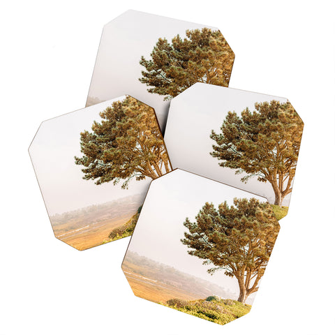 Jeff Mindell Photography Tree of Life Coaster Set