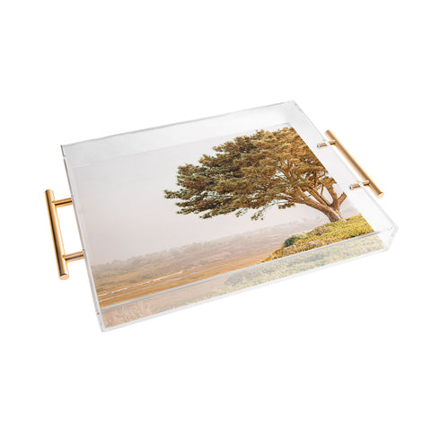 Jeff Mindell Photography Tree of Life Acrylic Tray