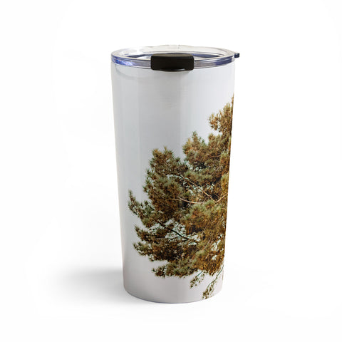 Jeff Mindell Photography Tree of Life Travel Mug