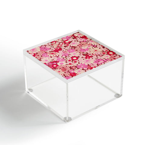 Jenean Morrison Peg in Red and Pink Acrylic Box