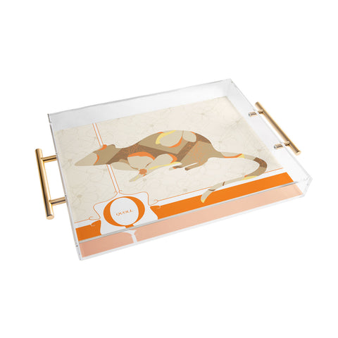 Jennifer Hill Mister Quoll Acrylic Tray