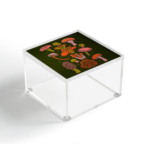 Jessica Molina Texas Mushrooms Bright Multi Acrylic Box