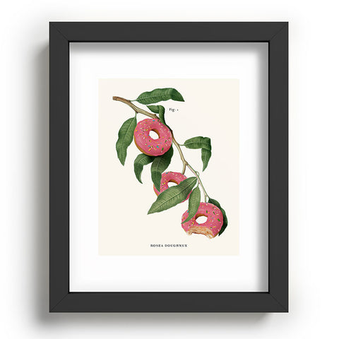 Jonas Loose Donut Plant Recessed Framing Rectangle