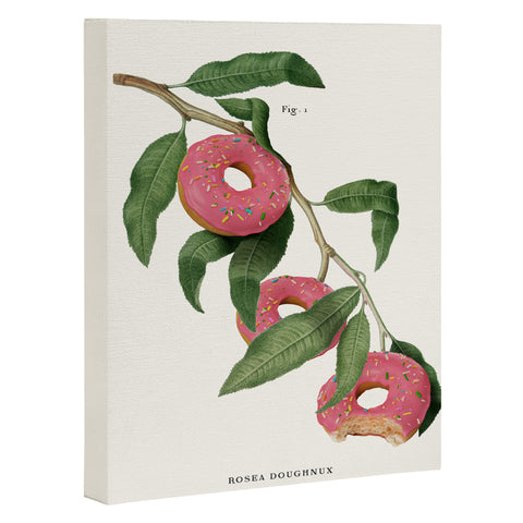Jonas Loose Donut Plant Art Canvas