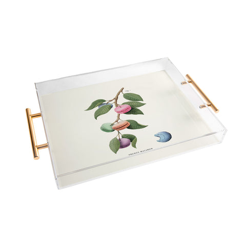 Jonas Loose Macaron Plant Acrylic Tray