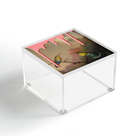 Jonas Loose VANDALISM I Acrylic Box