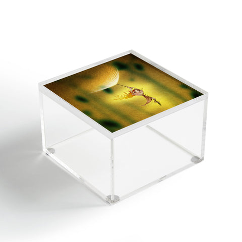 Jose Luis Guerrero Fly Acrylic Box