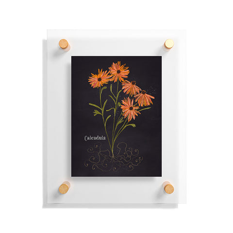 Joy Laforme Herb Garden Calendula Floating Acrylic Print
