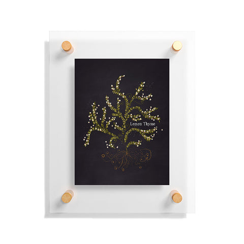 Joy Laforme Herb Garden Lemon Thyme Floating Acrylic Print