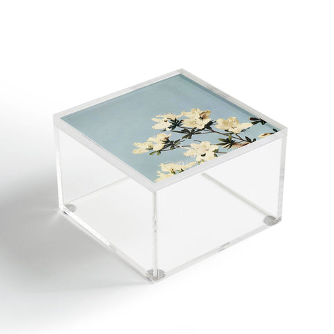 kazegami Japanese Azaleas Acrylic Box