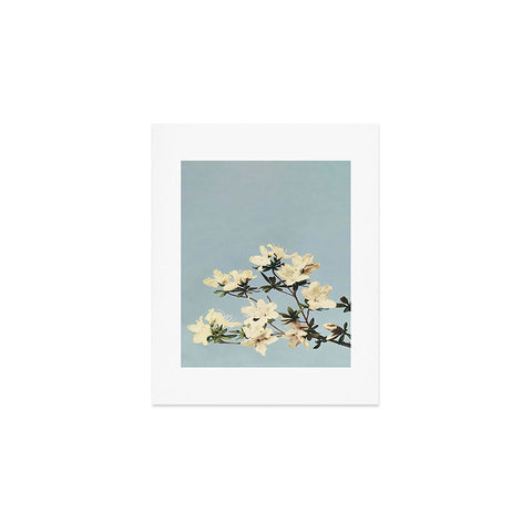 kazegami Japanese Azaleas Art Print