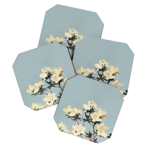 kazegami Japanese Azaleas Coaster Set