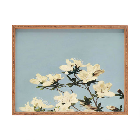kazegami Japanese Azaleas Rectangular Tray