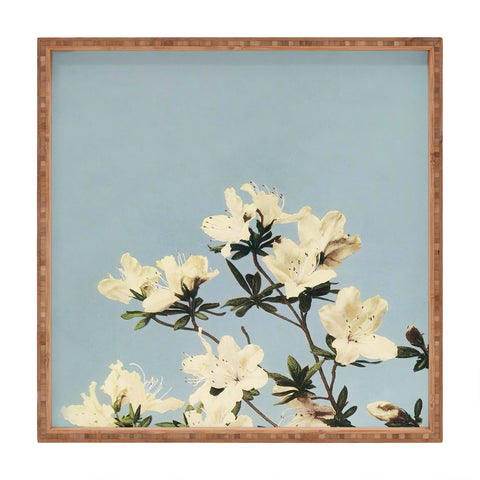 kazegami Japanese Azaleas Square Tray
