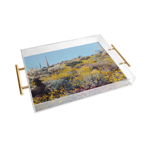 Kevin Russ Arizona Color Acrylic Tray