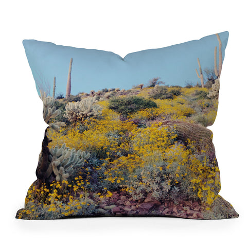 Kevin Russ Arizona Color Outdoor Throw Pillow