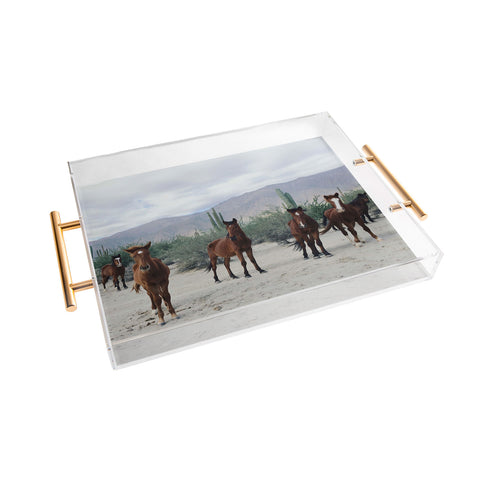Kevin Russ Baha de los ngeles Wild Horses Acrylic Tray