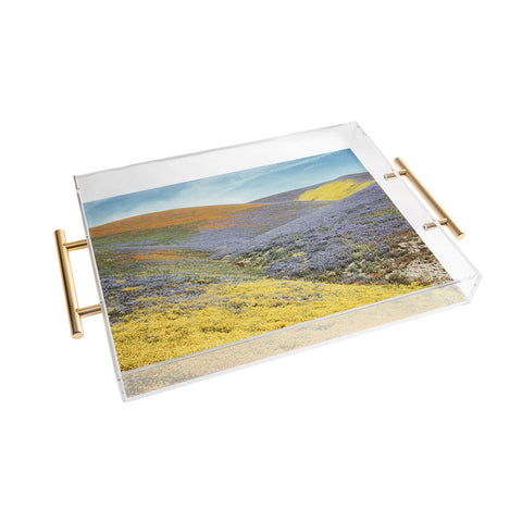 Kevin Russ Bloomtown California Acrylic Tray