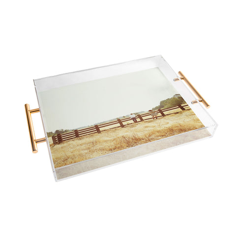 Kevin Russ Fence Standing Acrylic Tray