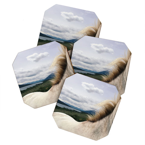 Kevin Russ Horse Back Coaster Set