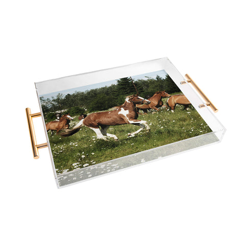 Kevin Russ Spring Horse Run Acrylic Tray