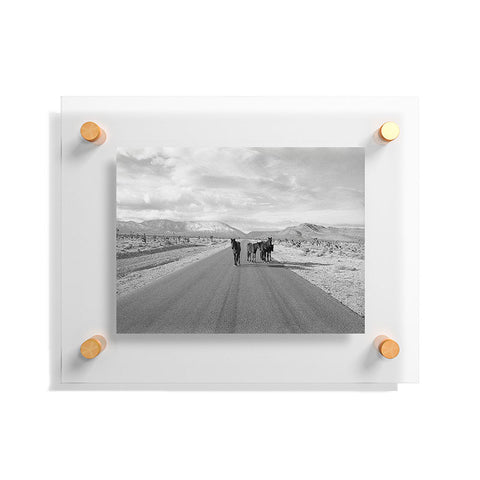 Kevin Russ Spring Mountain Wild Horses Floating Acrylic Print