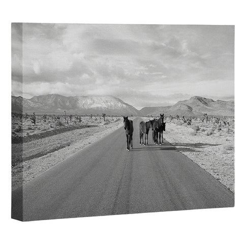 Kevin Russ Spring Mountain Wild Horses Art Canvas