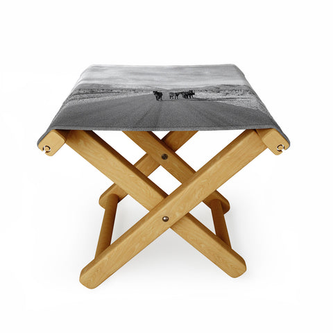 Kevin Russ Spring Mountain Wild Horses Folding Stool