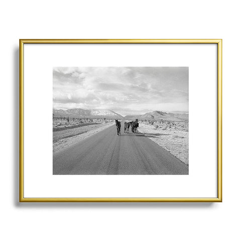 Kevin Russ Spring Mountain Wild Horses Metal Framed Art Print