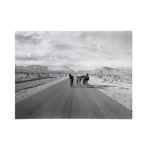 Kevin Russ Spring Mountain Wild Horses Poster