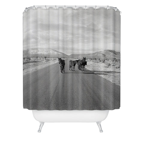 Kevin Russ Spring Mountain Wild Horses Shower Curtain