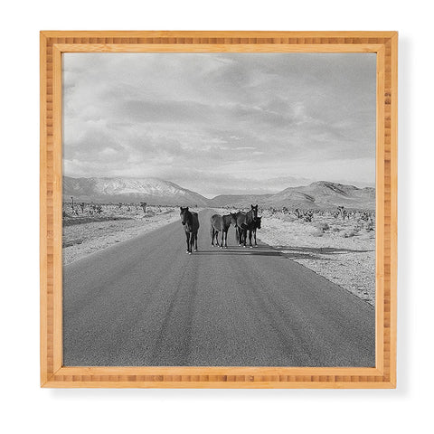 Kevin Russ Spring Mountain Wild Horses Framed Wall Art