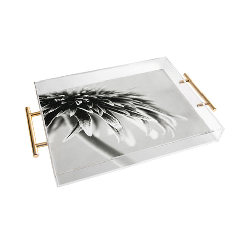 Krista Glavich Gerbera Daisy 1 Acrylic Tray