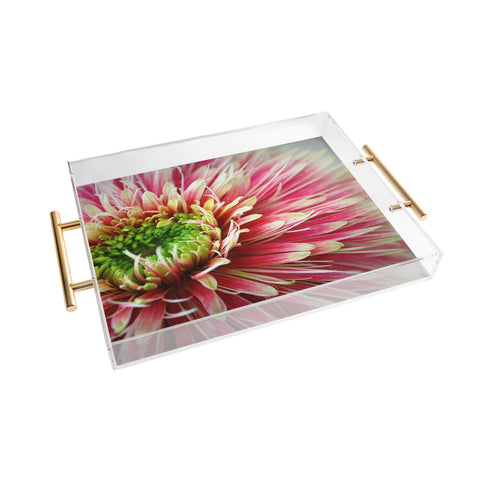 Krista Glavich Gerbera Daisy 2 Acrylic Tray
