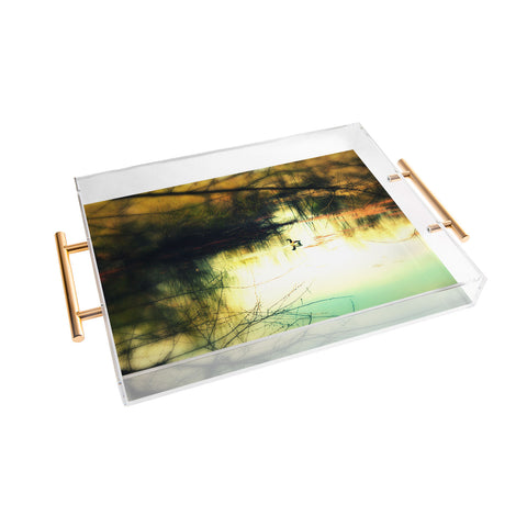 Krista Glavich Goose Acrylic Tray