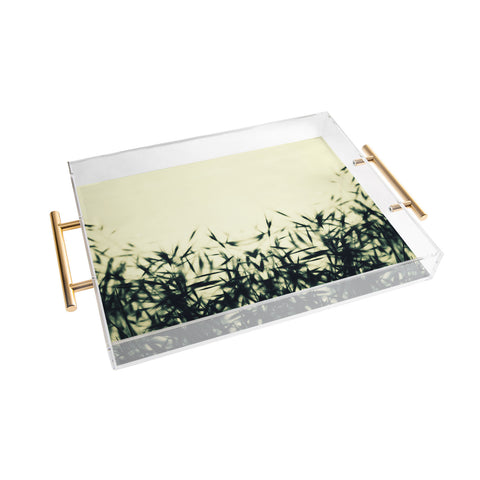 Krista Glavich Grasses Acrylic Tray