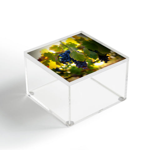 Krista Glavich Harvest 1 Acrylic Box