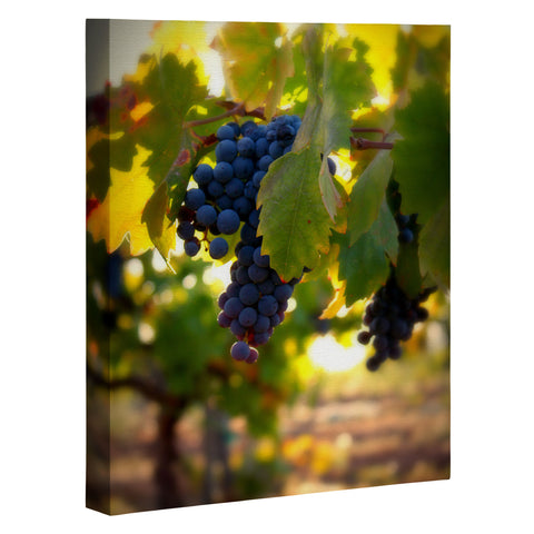 Krista Glavich Harvest 1 Art Canvas