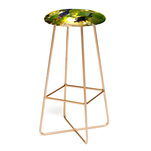 Krista Glavich Harvest 1 Bar Stool