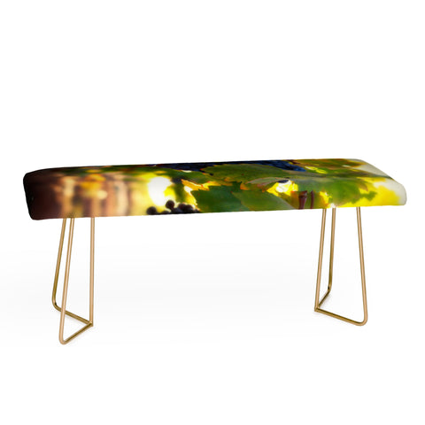 Krista Glavich Harvest 1 Bench