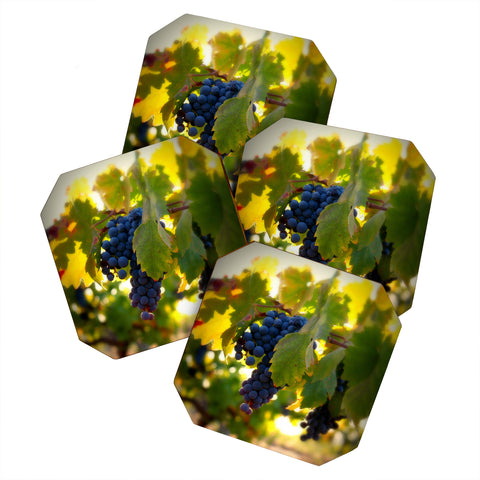 Krista Glavich Harvest 1 Coaster Set