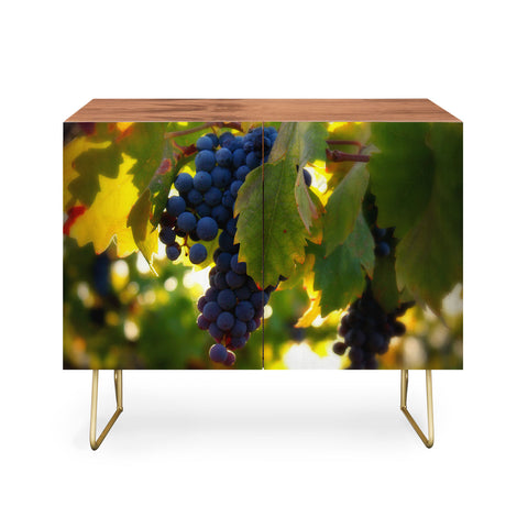 Krista Glavich Harvest 1 Credenza