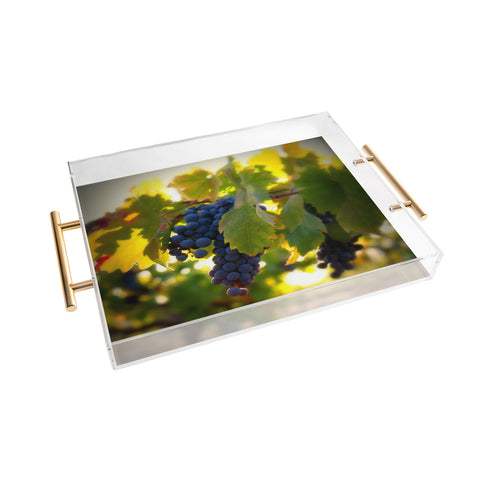 Krista Glavich Harvest 1 Acrylic Tray