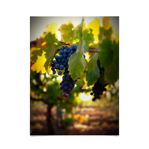 Krista Glavich Harvest 1 Poster